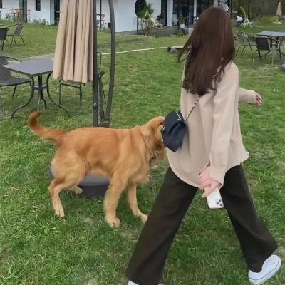 十万个冷笑话第二季